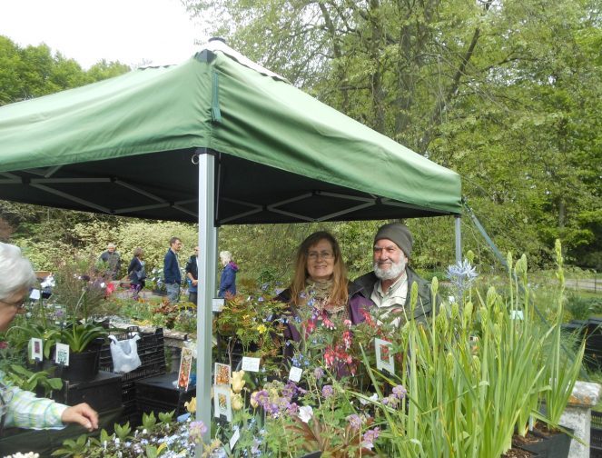 In Clover Plant fairs