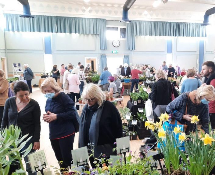 Plant fair at Digby Hall Sherborne