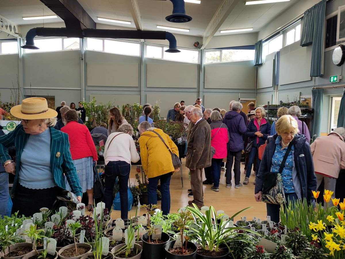 Digby Hall by Dorsetcamera.co.uk