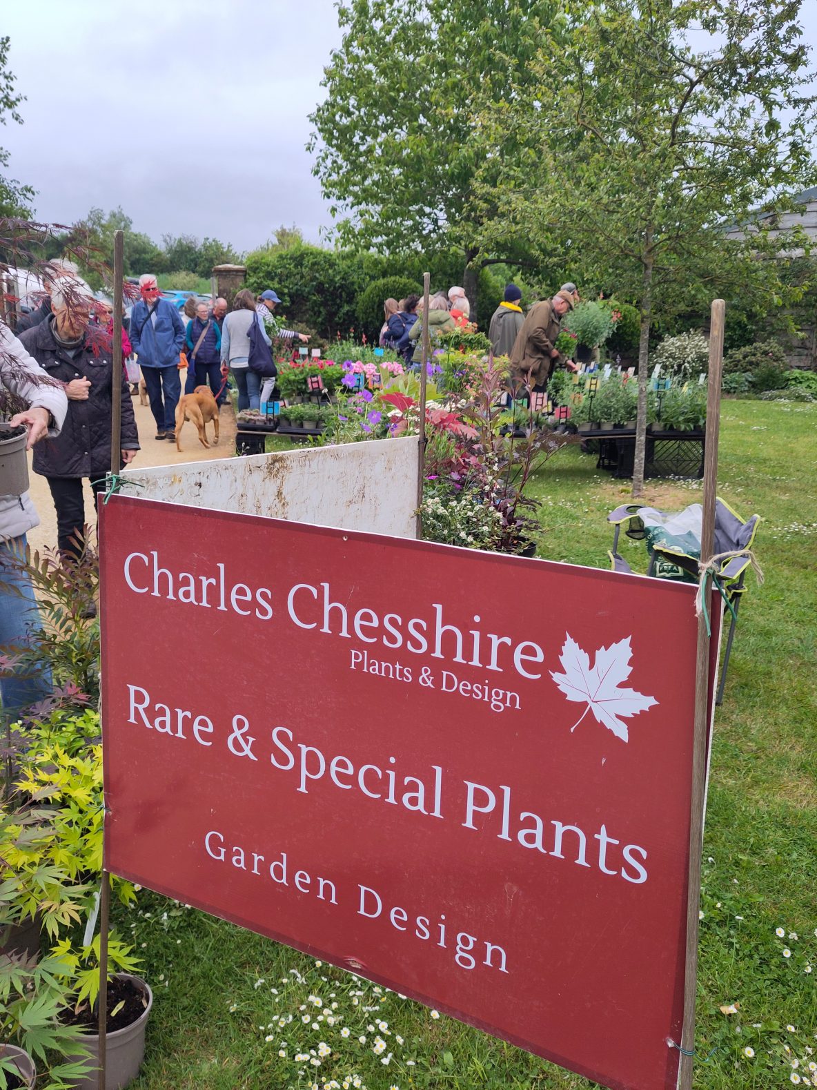 Charles Chesshire Plants and Designs
