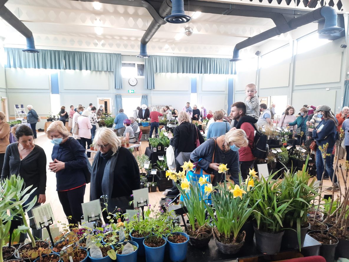 Sherborne Plant Fair stands 2022