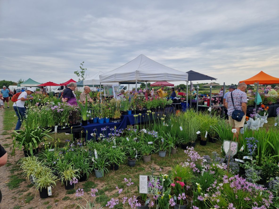 Coates Plant Fair stands 2025