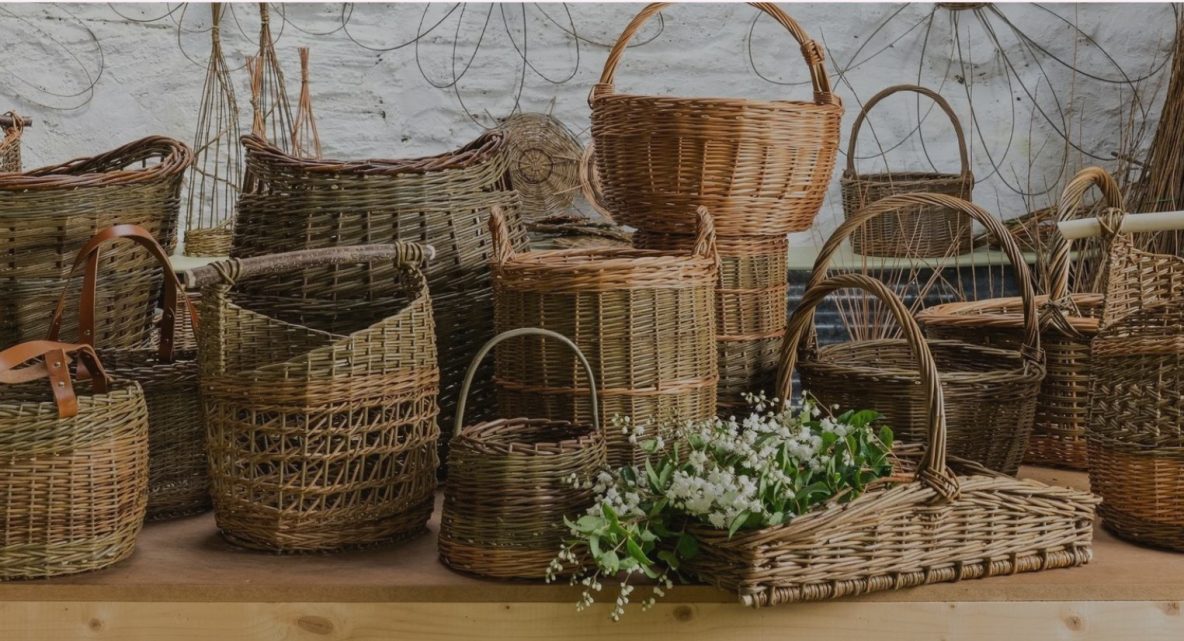 Bay Tree Willow products