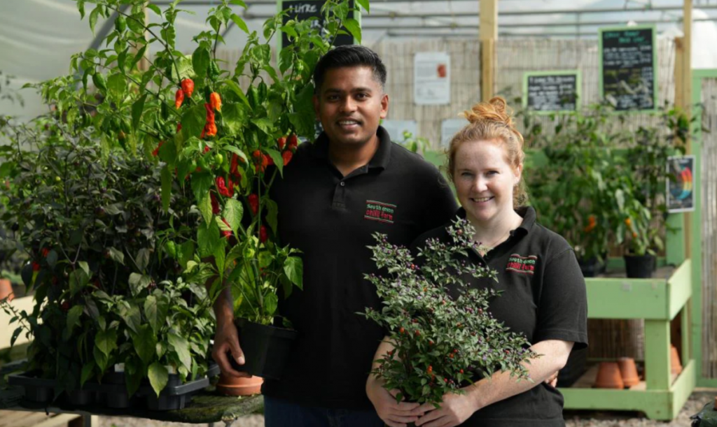South Devon Chilli Farm